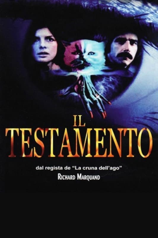 Poster di Il testamento