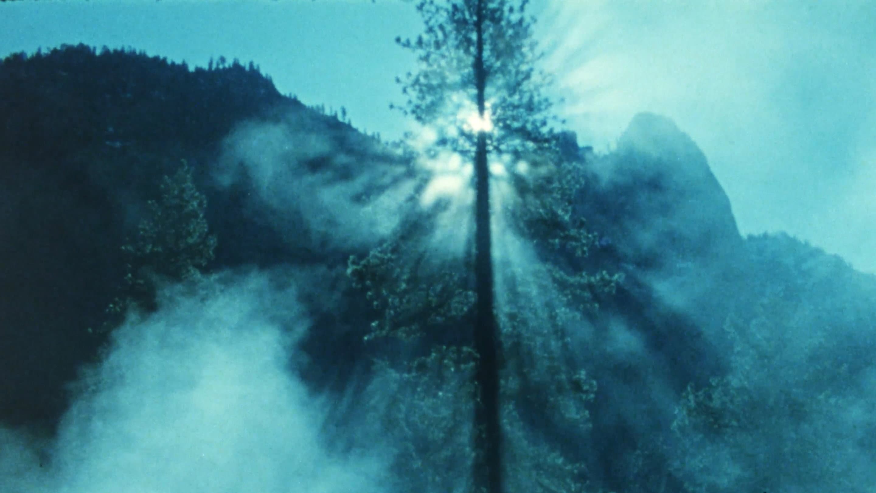 Wilderness: A Country in the Mind - immagine