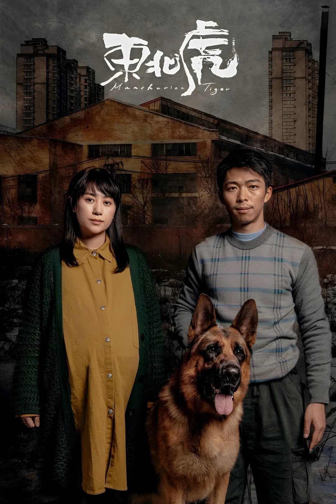 Poster di 东北虎