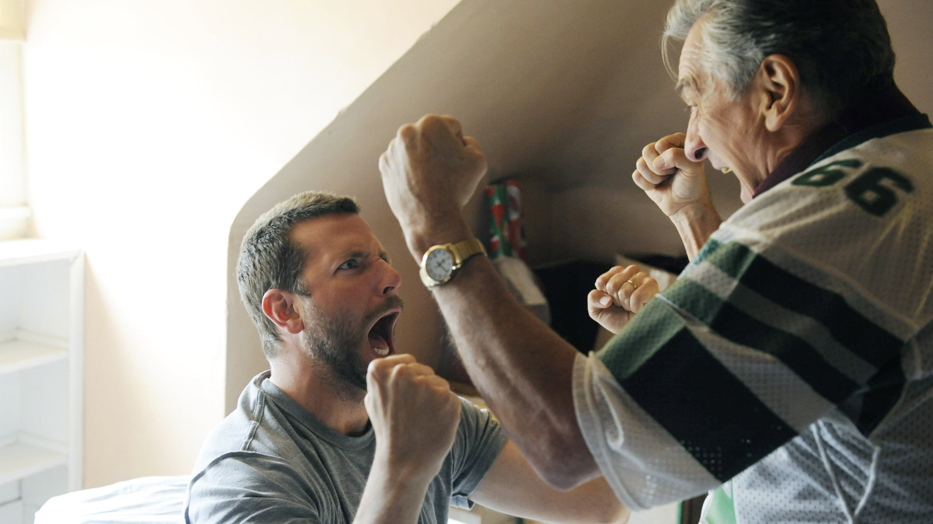 Il lato positivo - Silver Linings Playbook - immagine