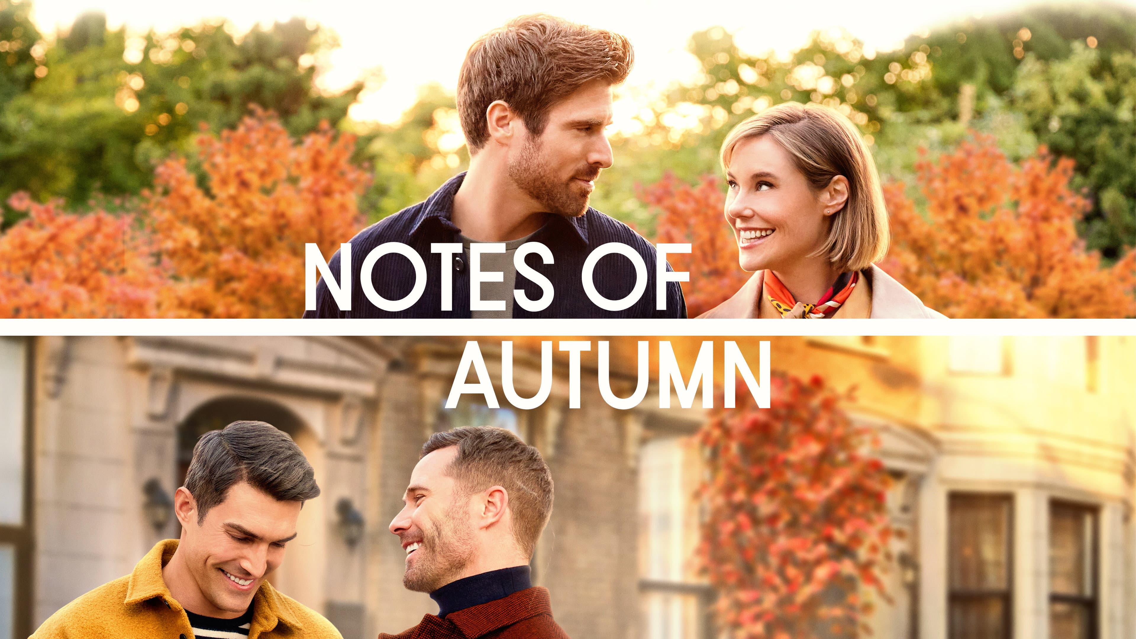 Note d'autunno - immagine