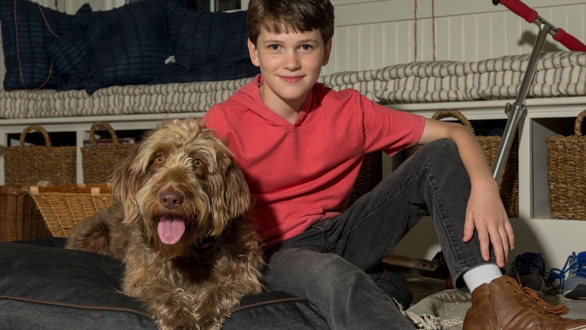 Henry, ti presento Oliver - immagine