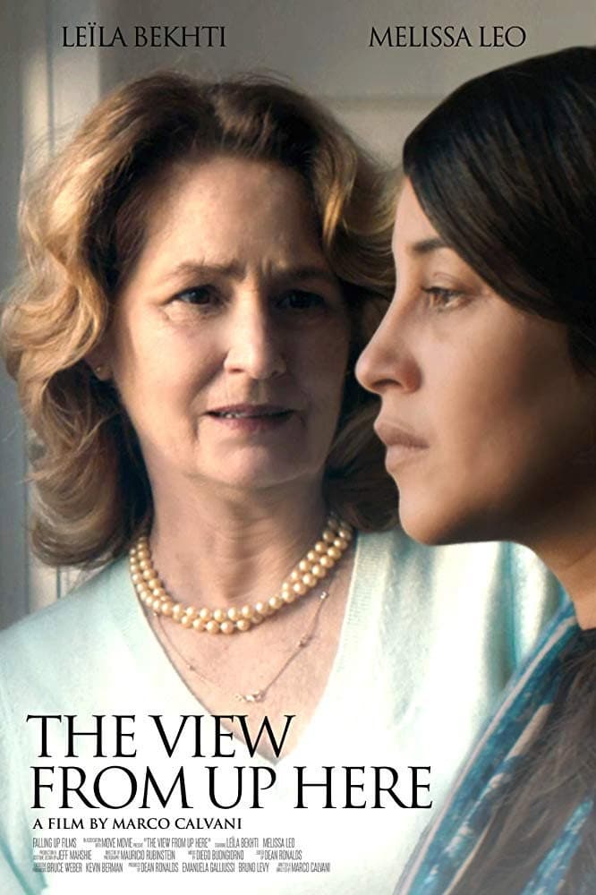 Poster di The View from Up Here
