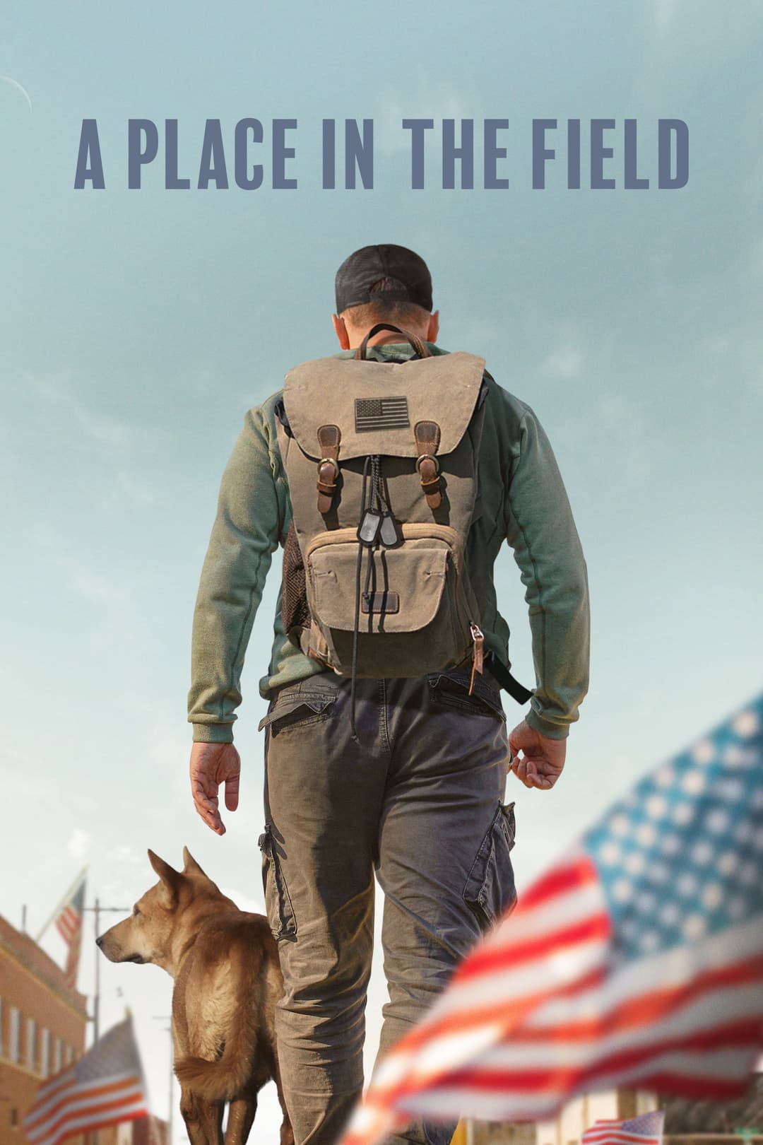 Poster di A Place in the Field