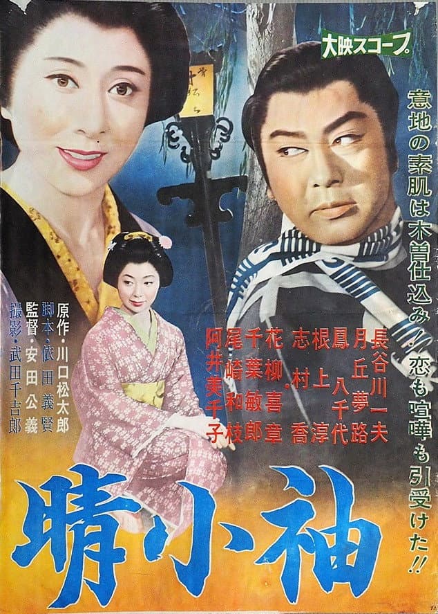 Poster di 晴小袖