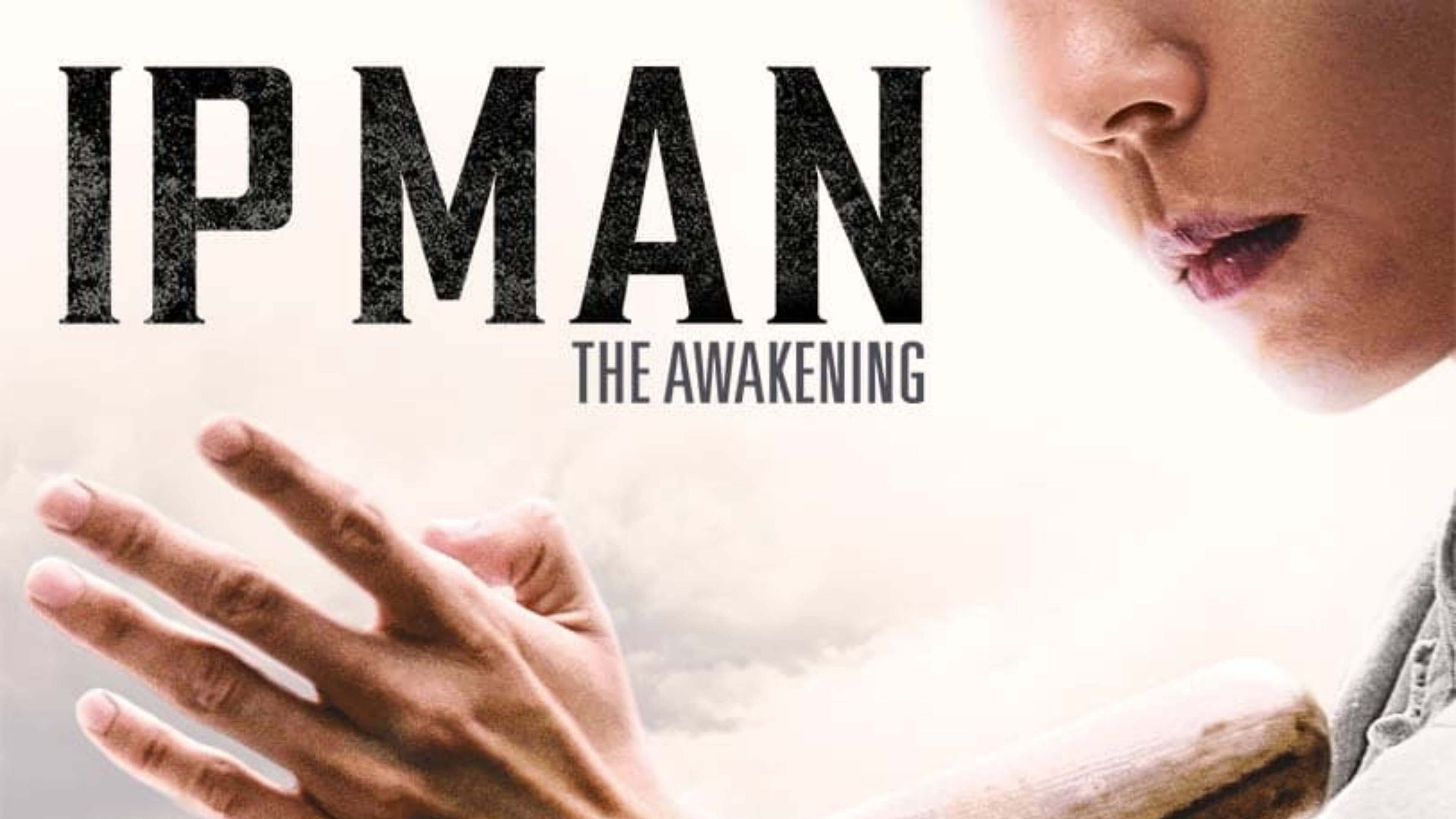Ip Man - Il risveglio - immagine