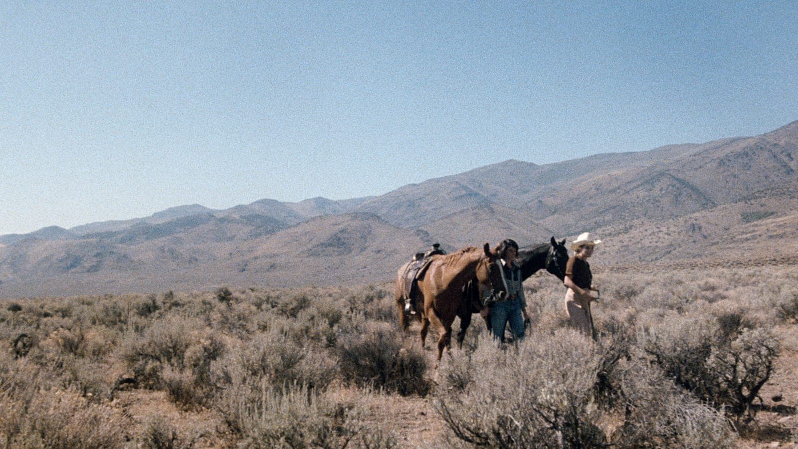 Women in Love: Desert Hearts - immagine