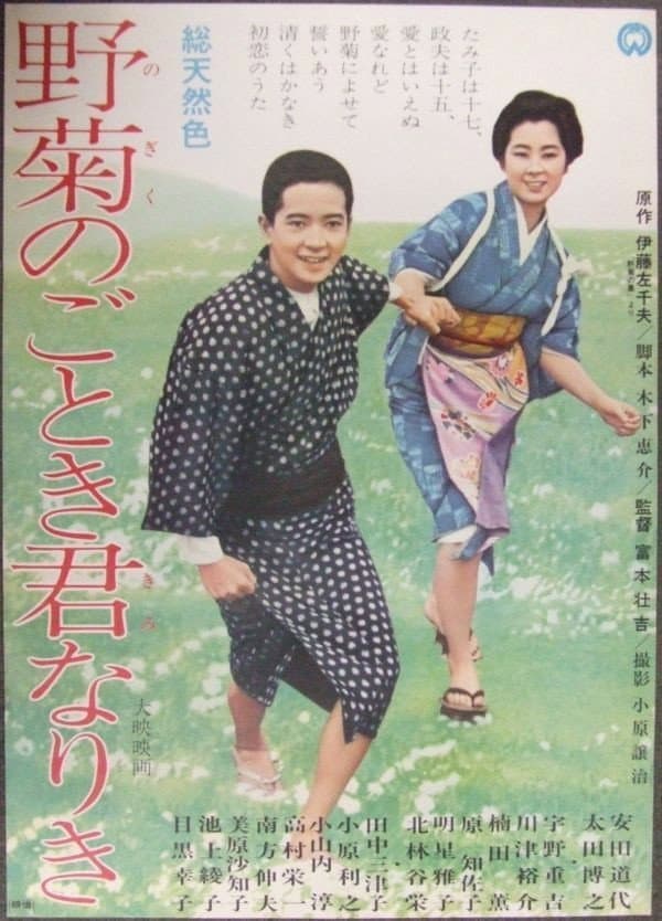 Poster di 野菊のごとき君なりき