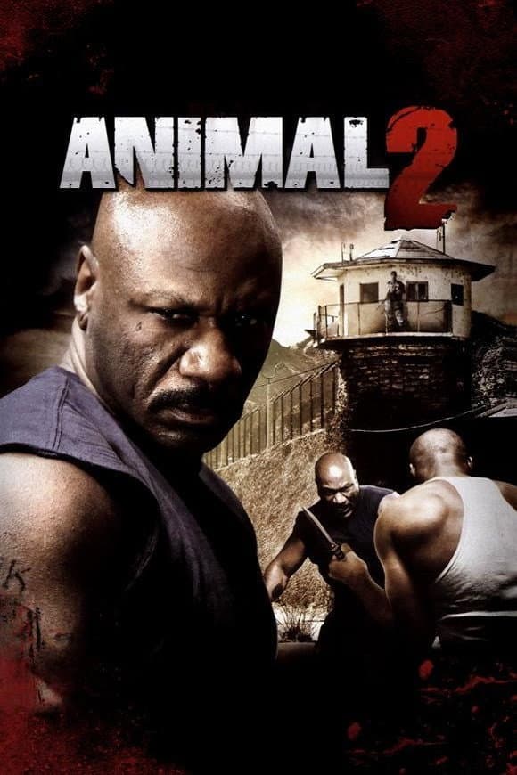 Poster di Animali in gabbia: nessuna pietà