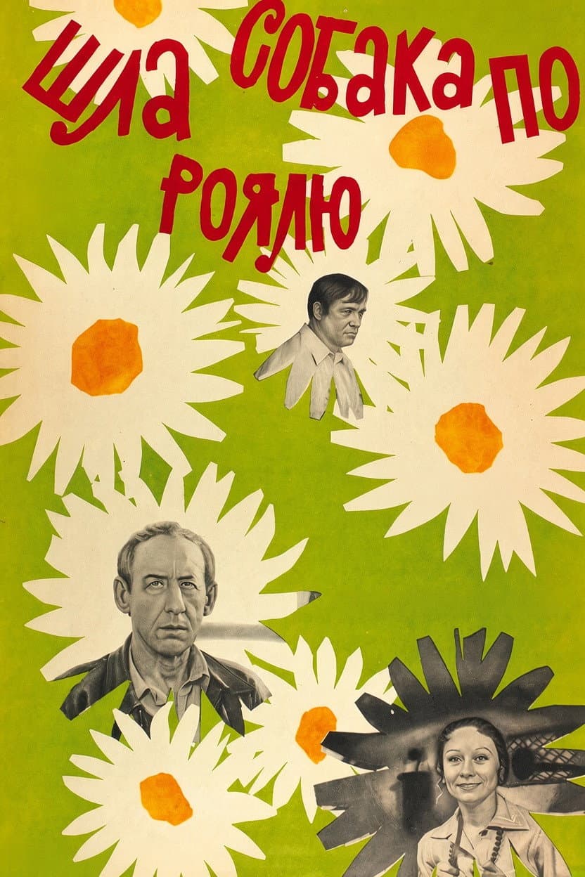 Poster di Шла собака по роялю