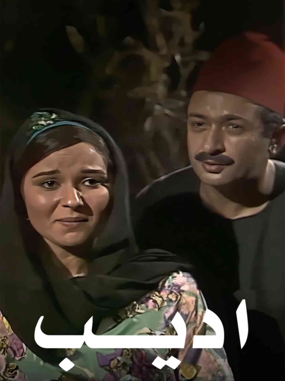 Poster di أديب