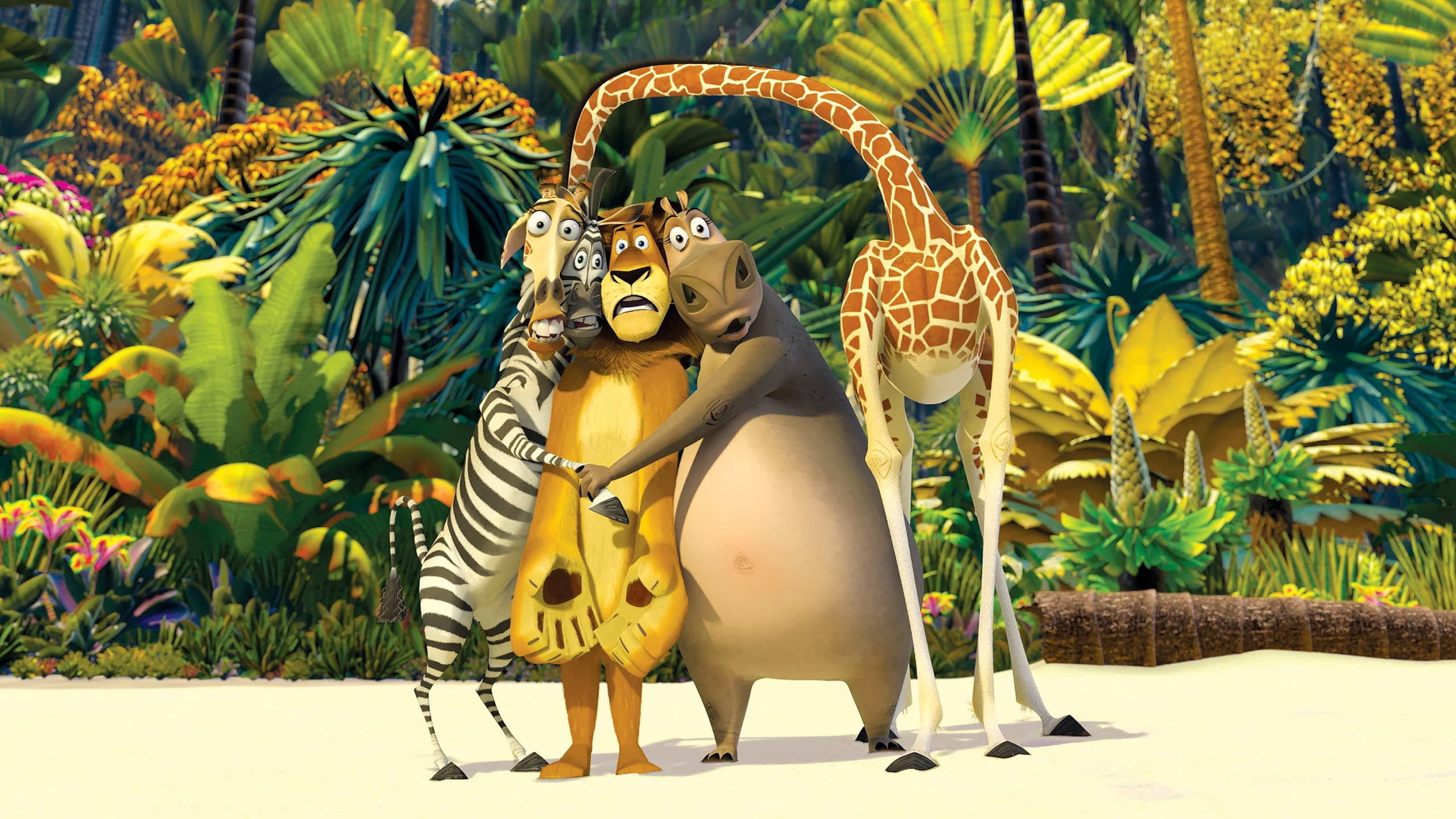 Madagascar - immagine
