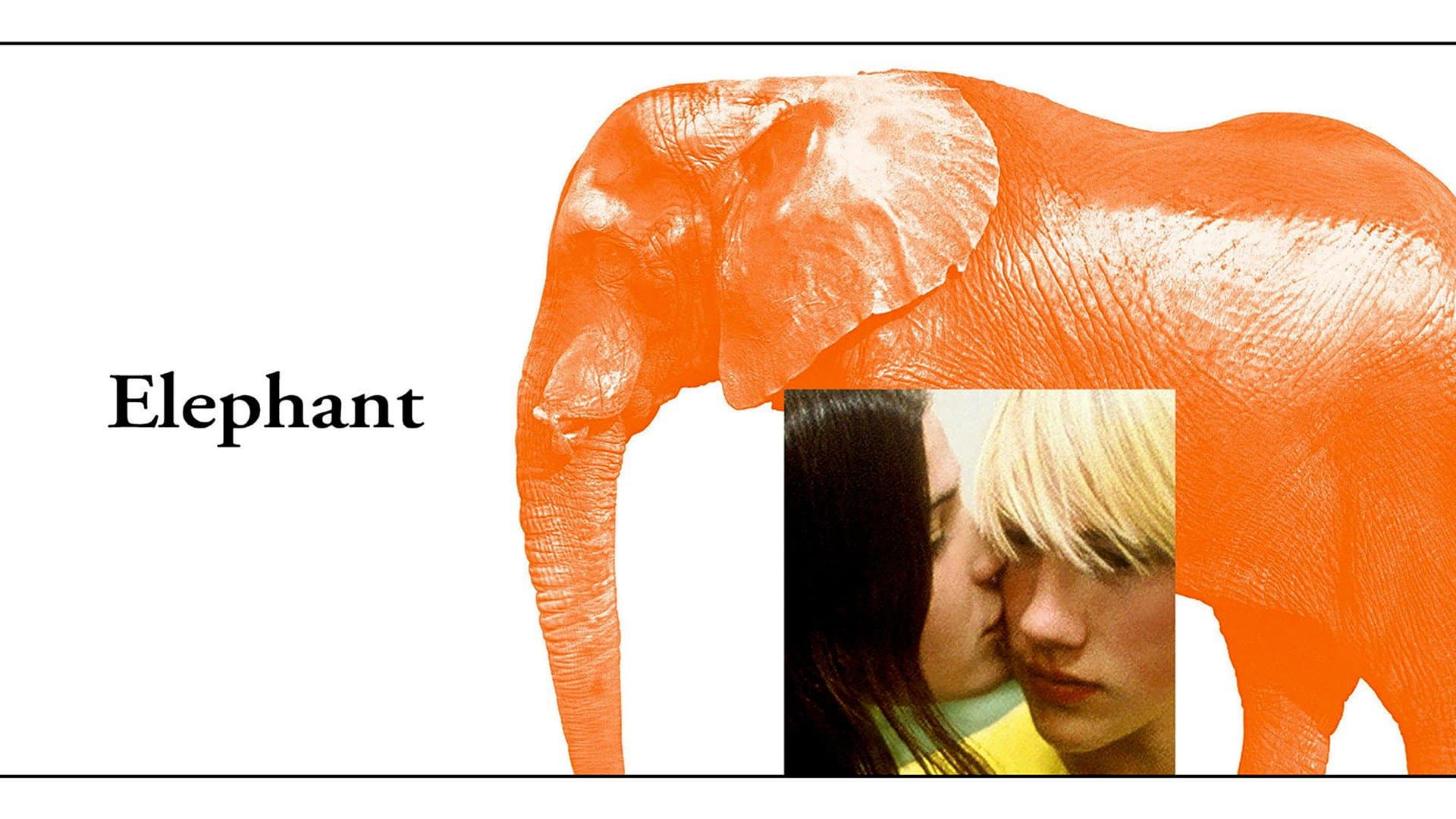 Elephant - immagine