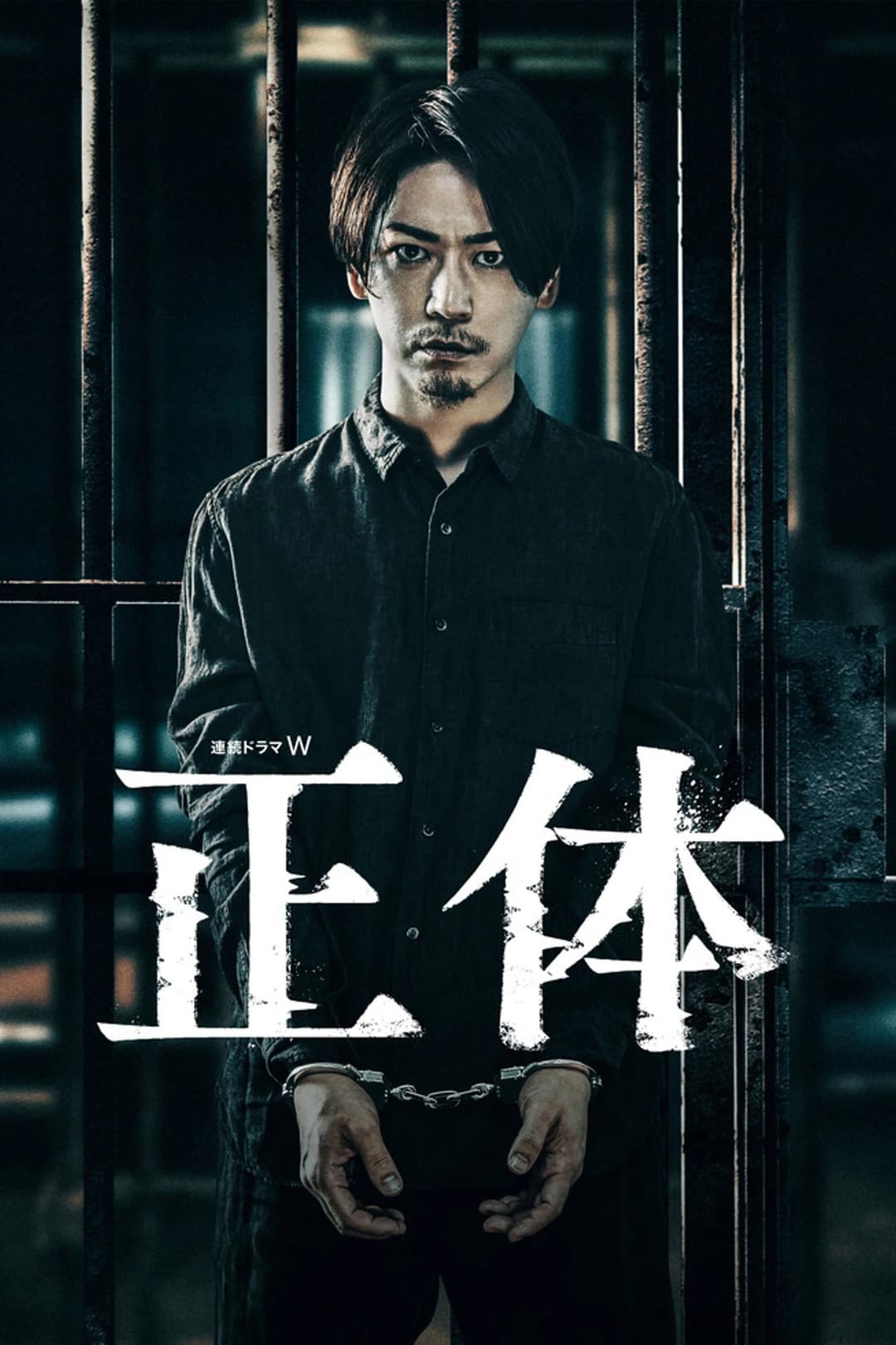 Poster di 正体