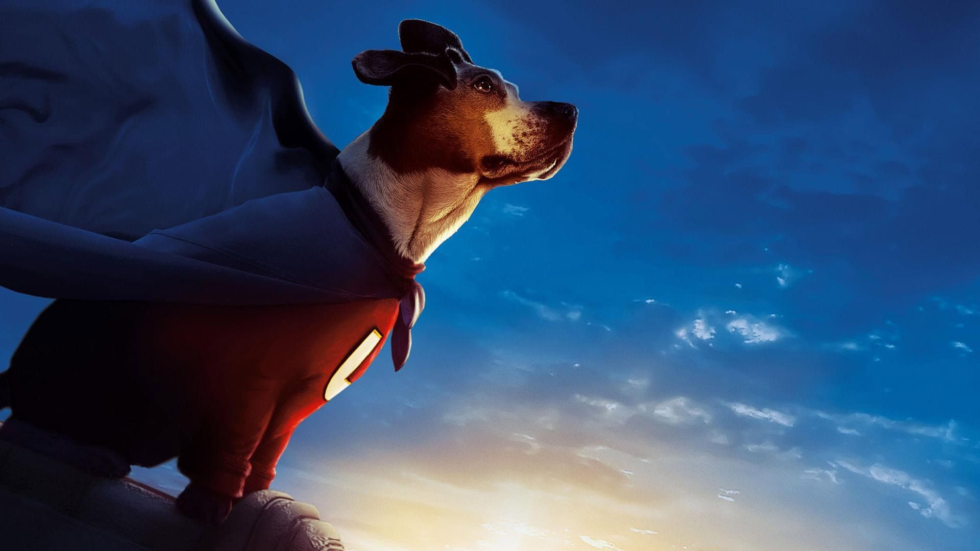 Underdog - Storia di un vero supereroe - immagine