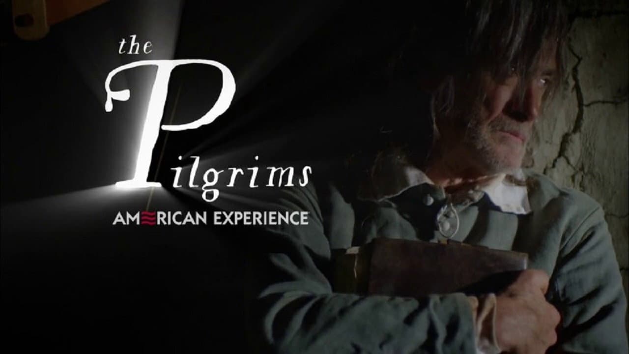 The Pilgrims - immagine