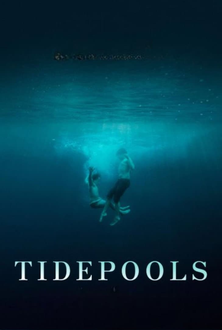 Poster di Tidepools