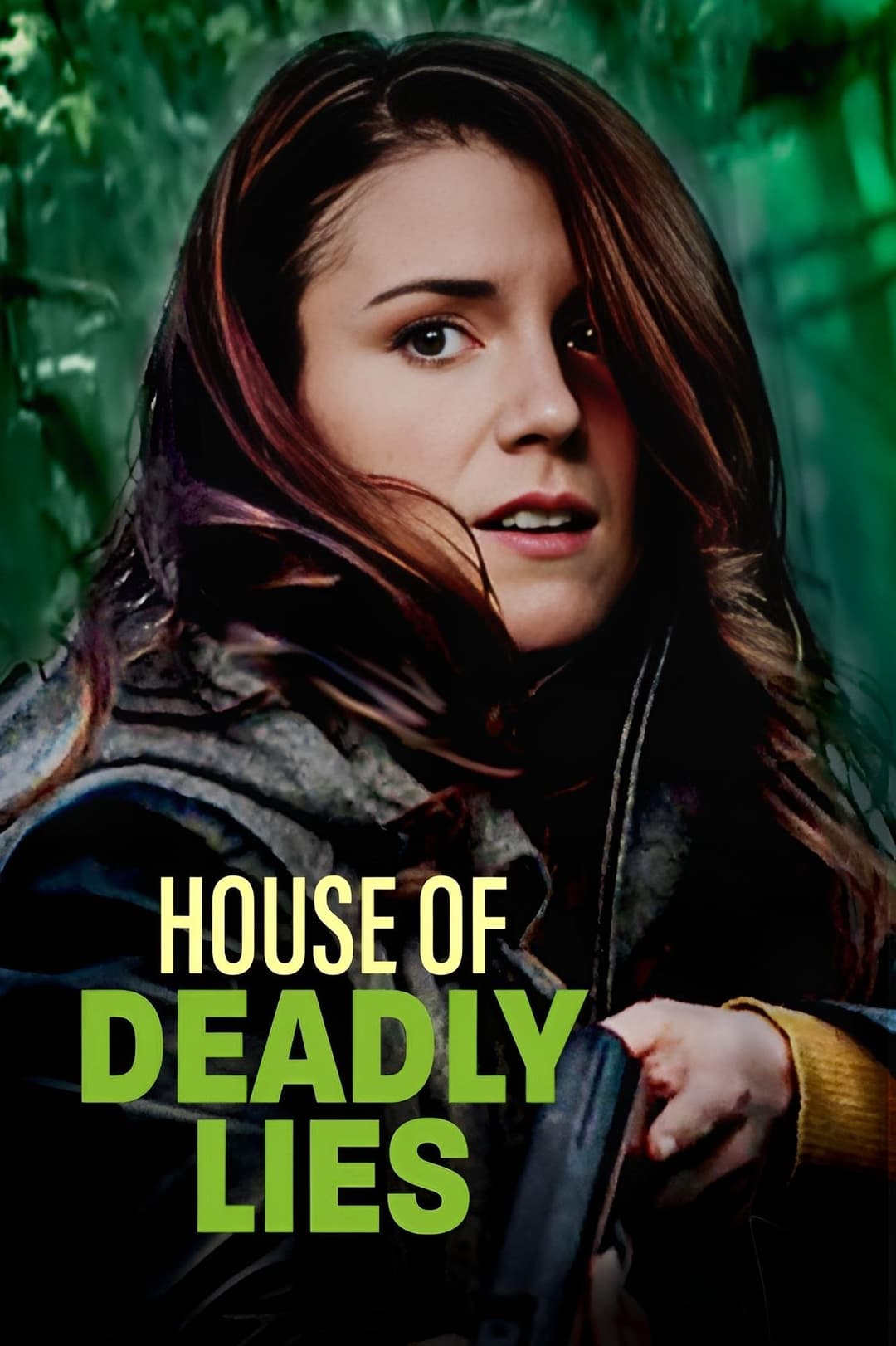 Poster di House of Deadly Lies