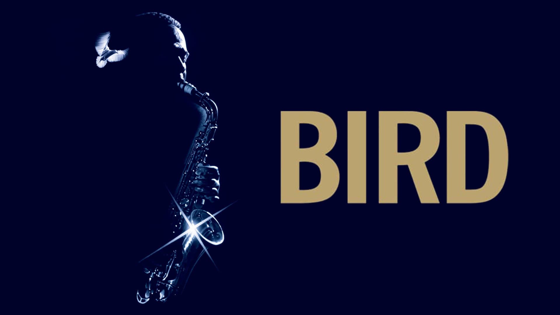 Bird - immagine