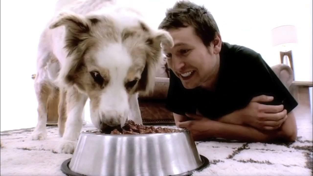 Doggie Heaven - immagine