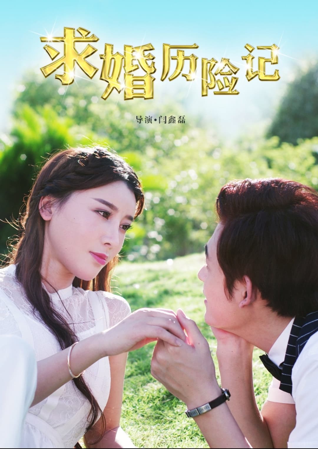 Poster di 求婚历险记