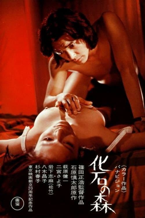 Poster di 化石の森