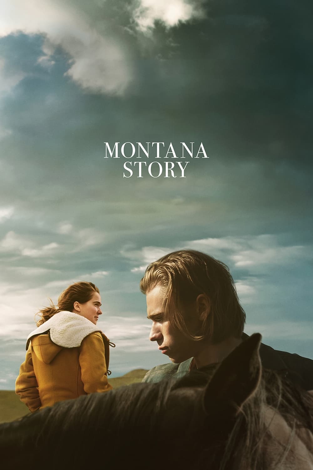 Poster di Montana Story