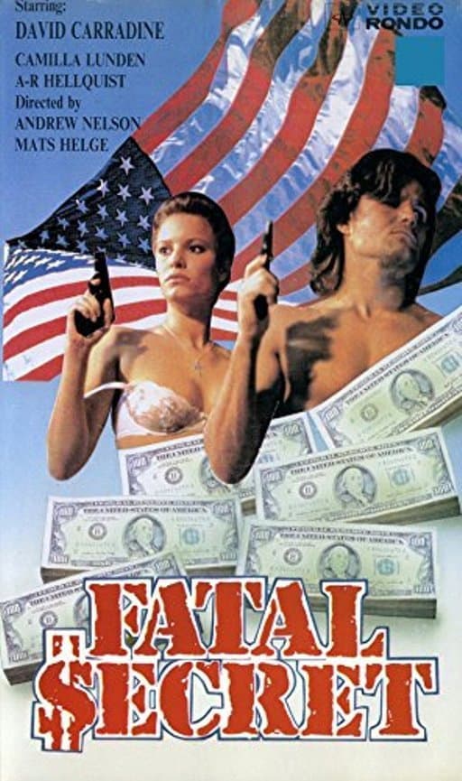 Poster di Fatal Secret