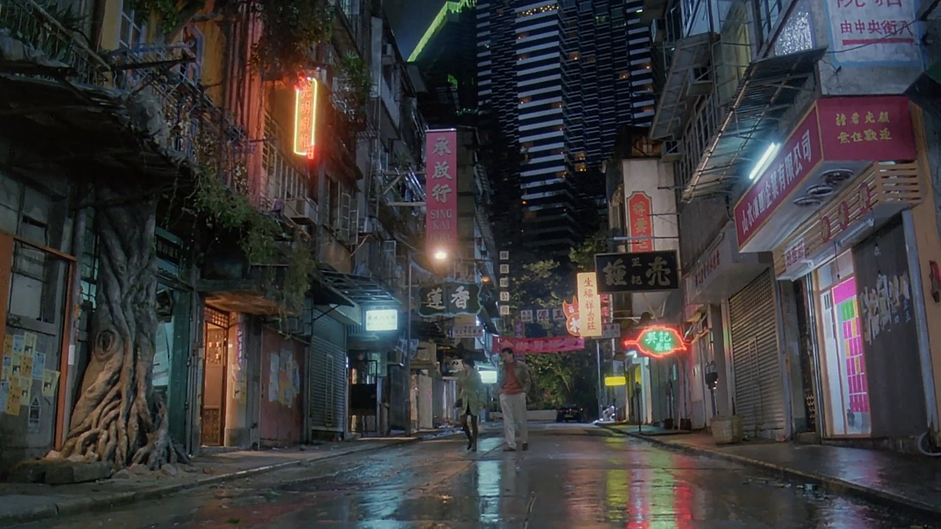 我愛扭紋柴 - immagine