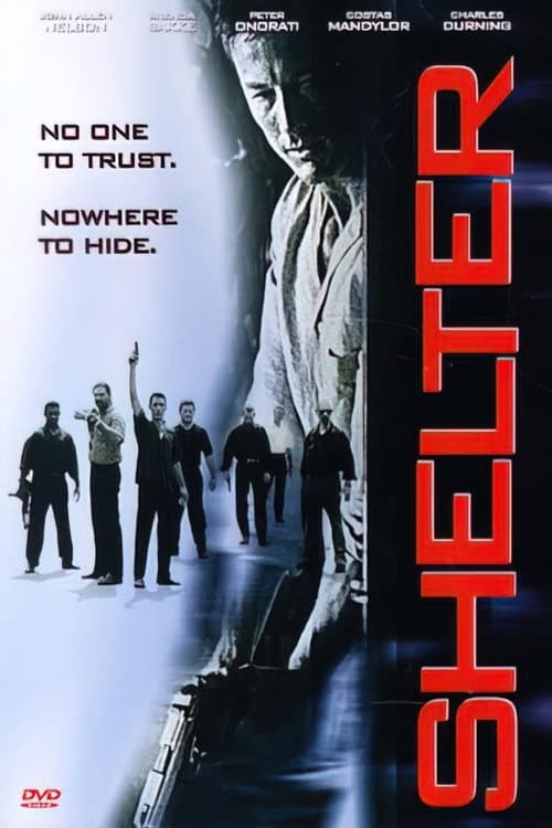 Poster di Shelter
