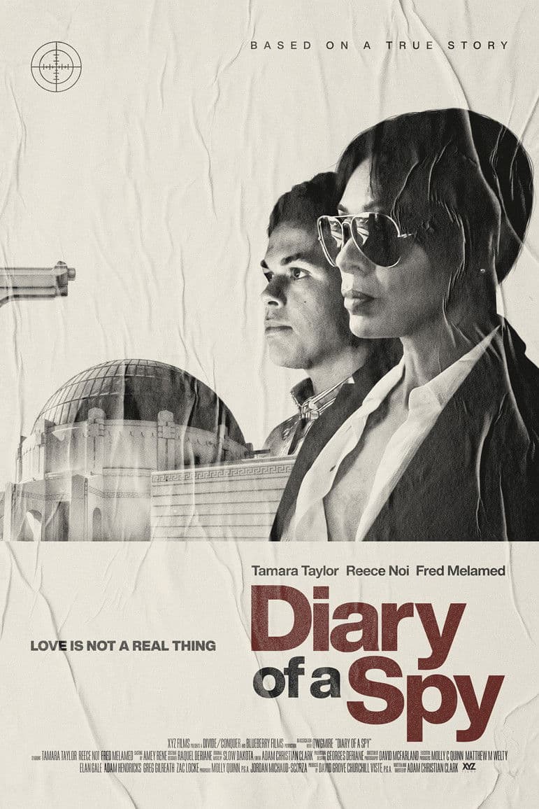 Poster di Diary of a Spy