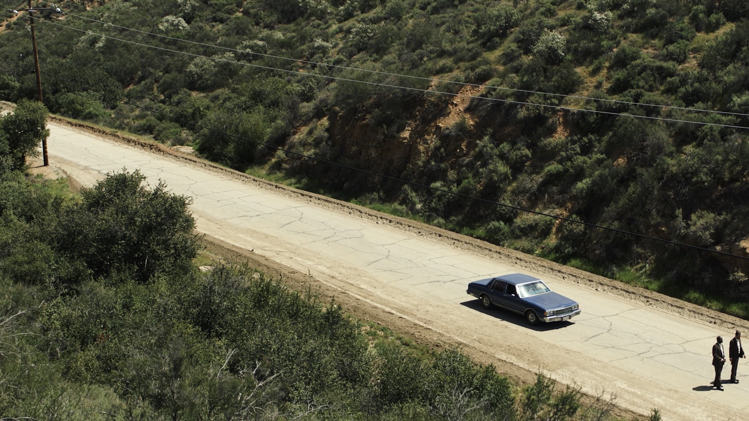 American Muscle - immagine