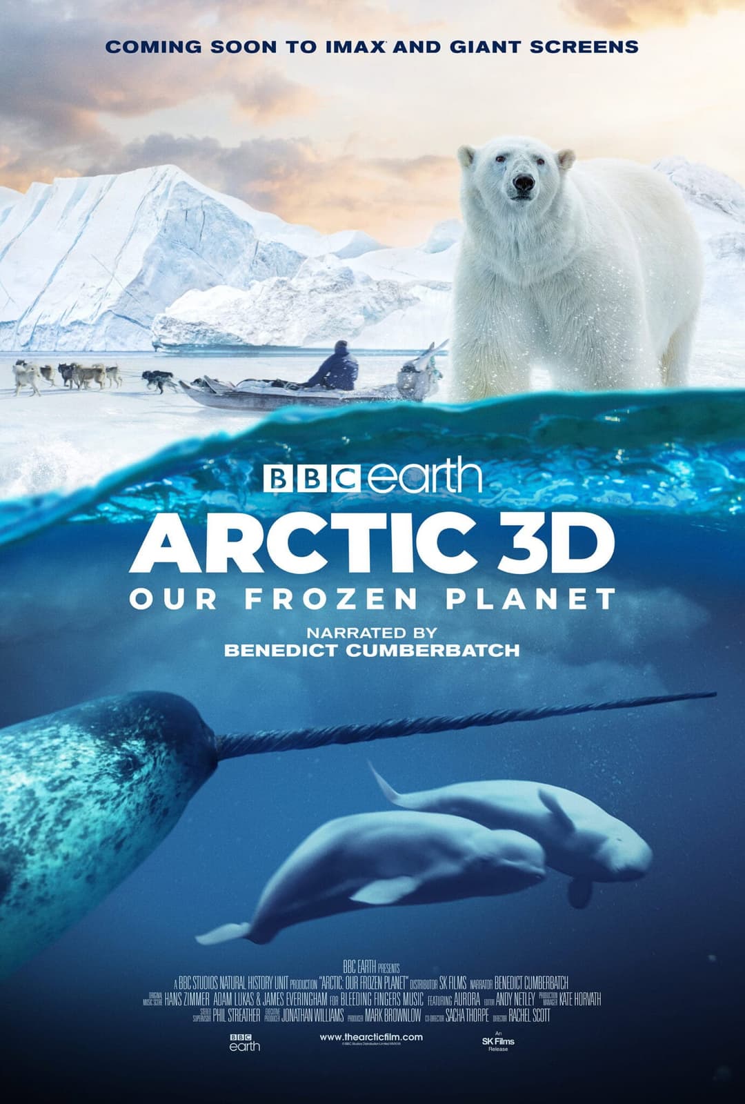 Poster di Arctic: Our Frozen Planet