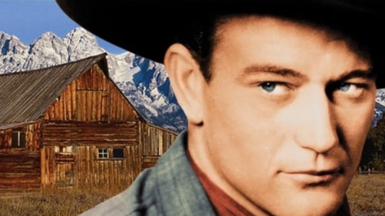 Il giustiziere del West - immagine