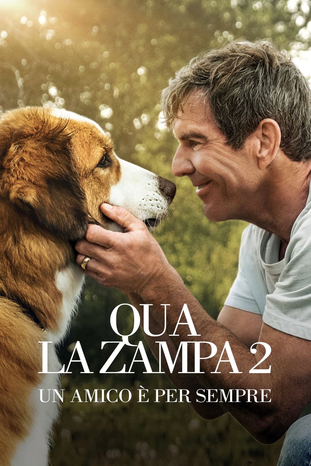 Poster di Qua la zampa 2 - Un amico è per sempre