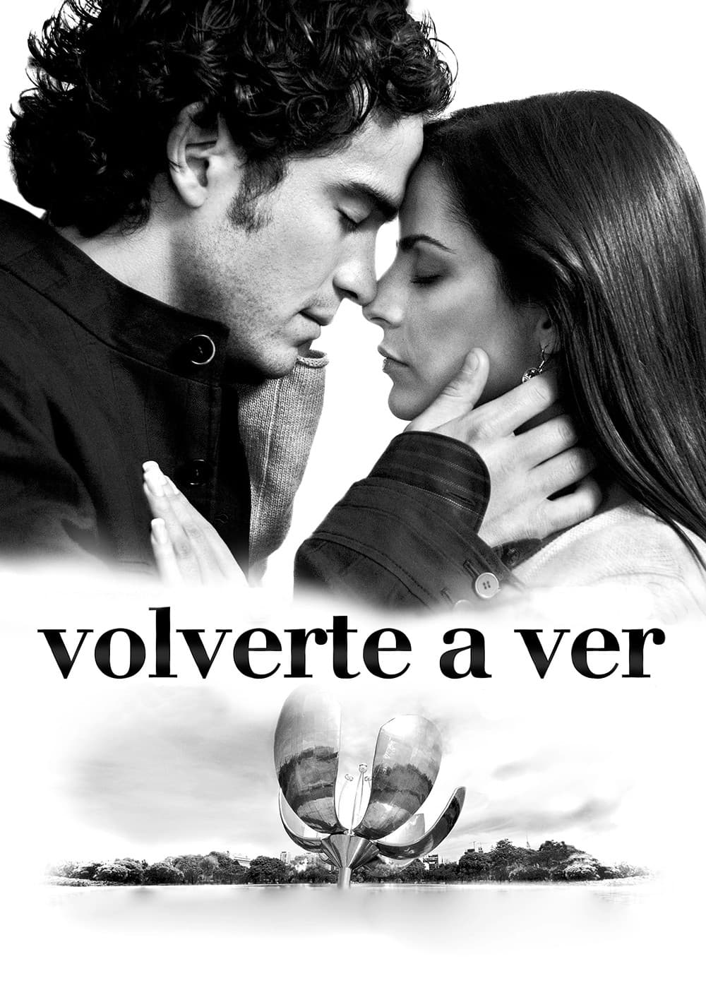 Poster di Volverte a ver