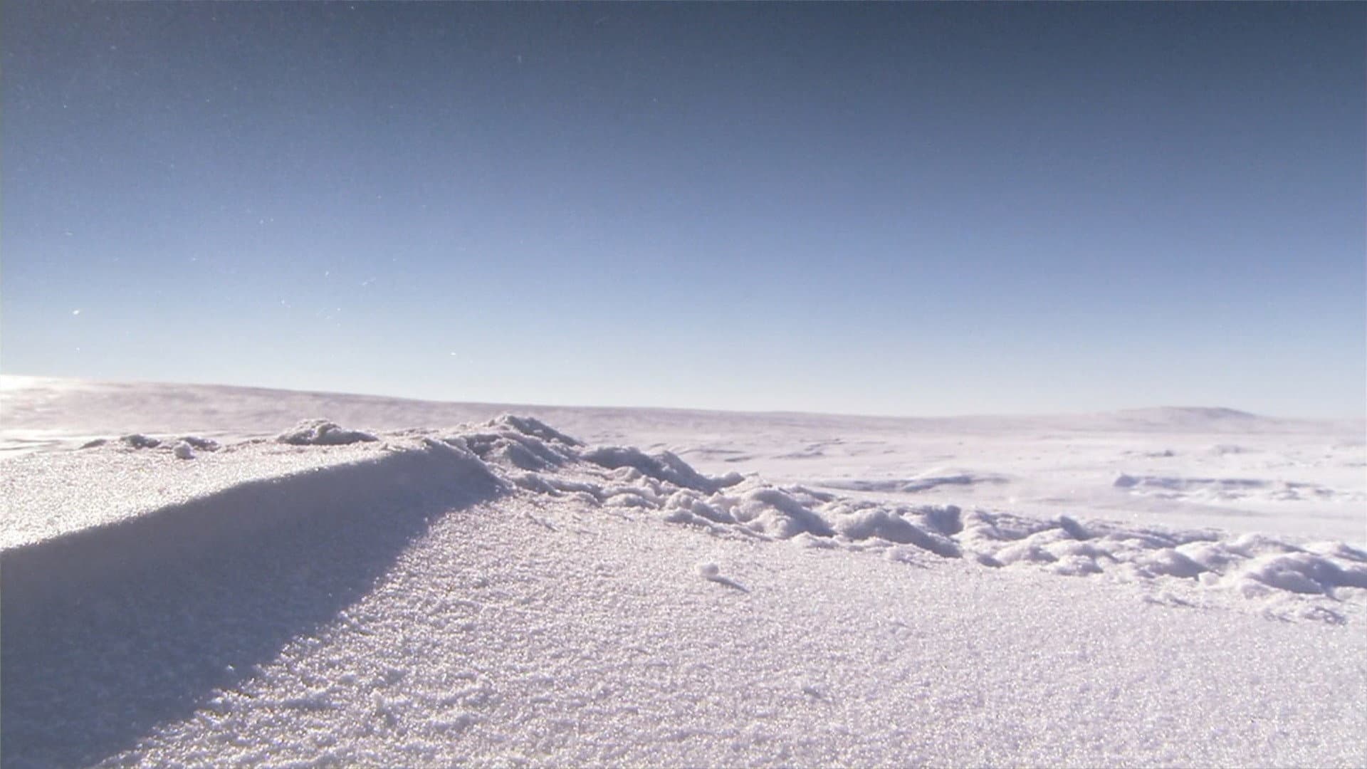 Top Gear: Polar Special - immagine