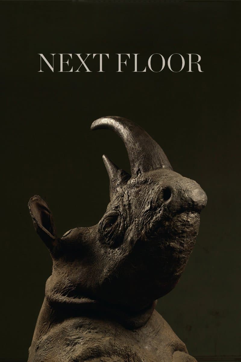 Poster di Next Floor