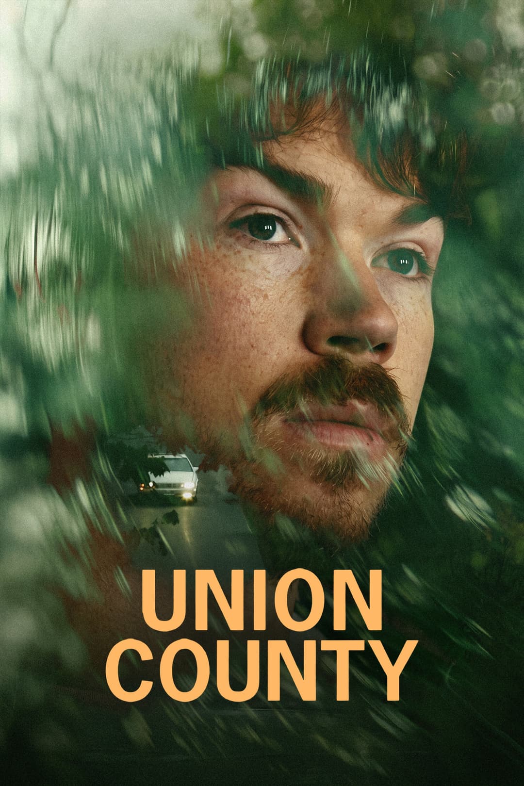 Poster di Union County