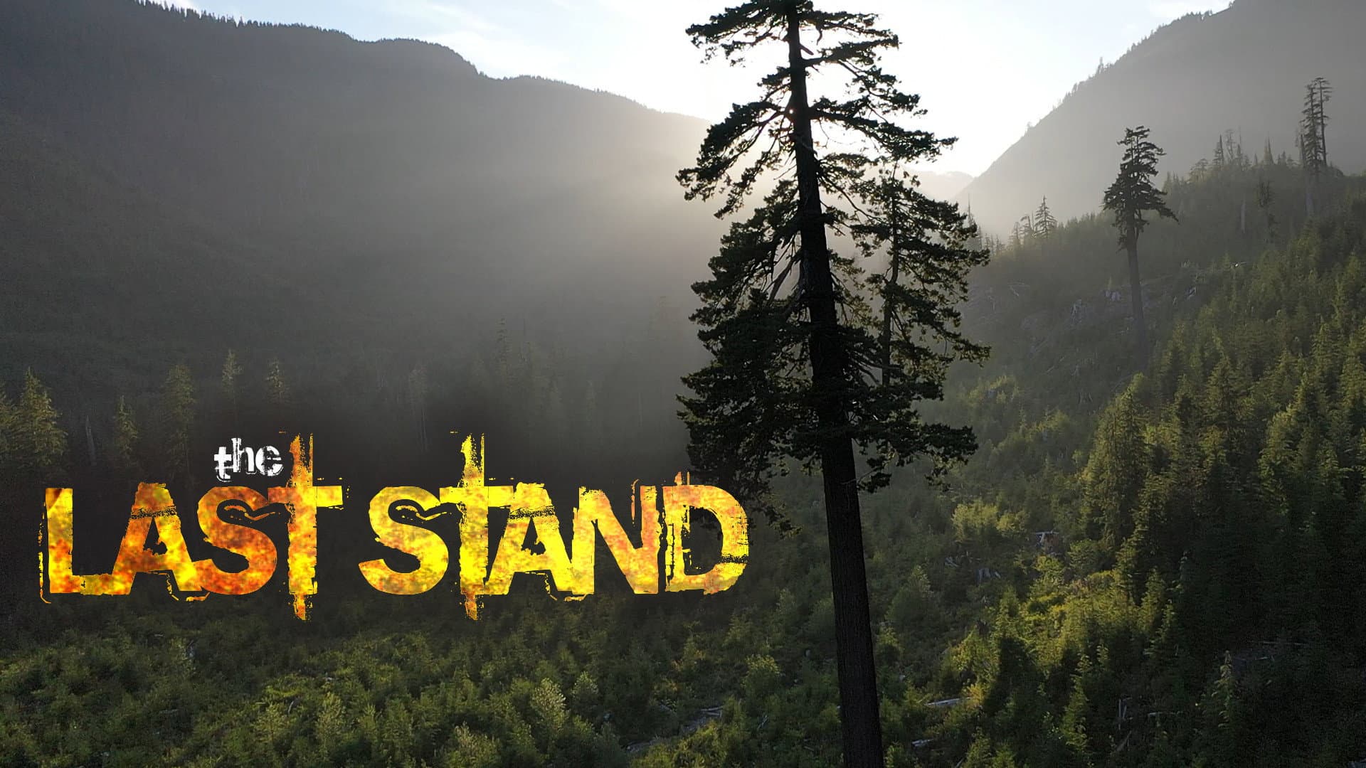 The Last Stand - immagine