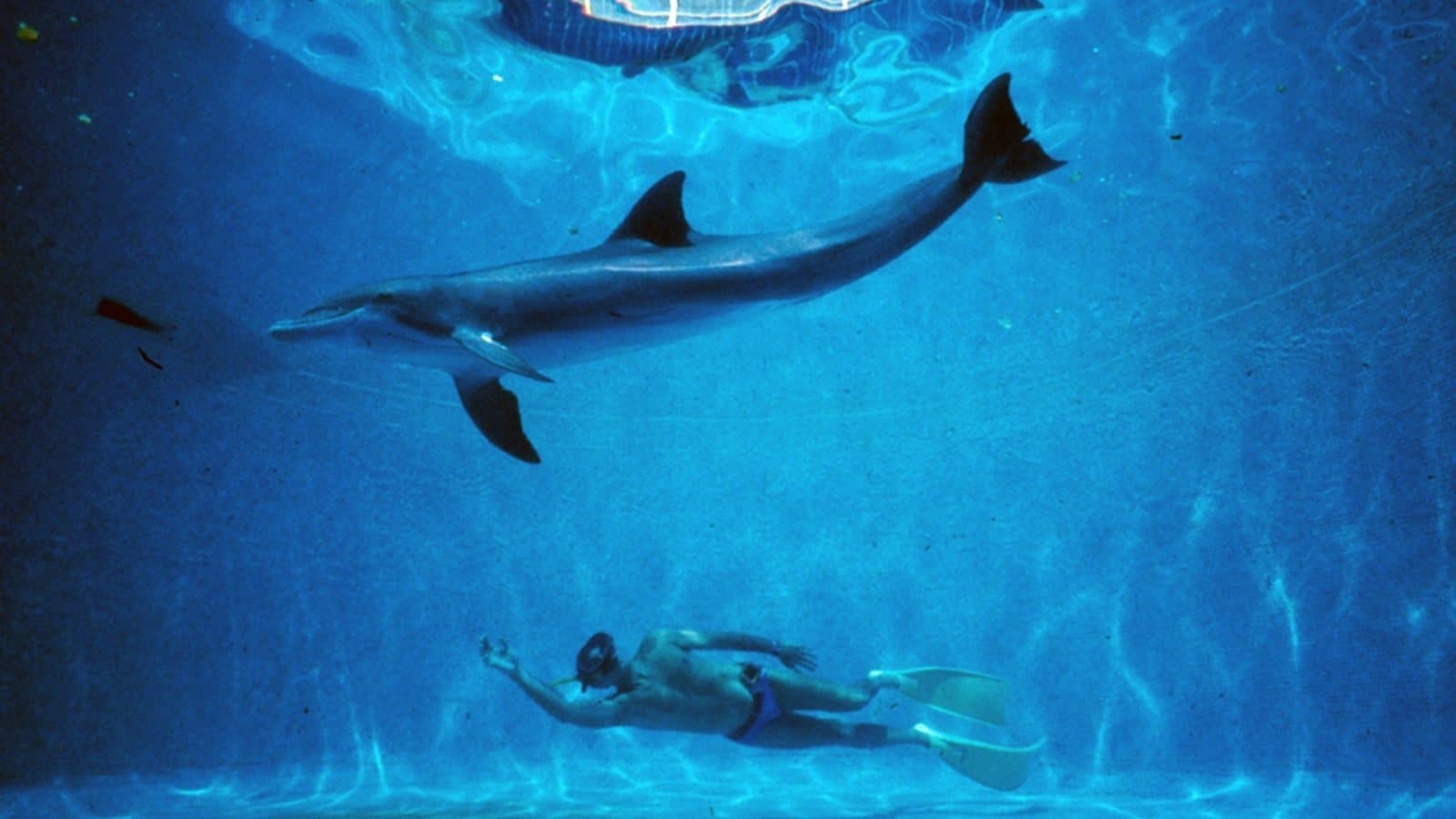 Le Grand Bleu - immagine