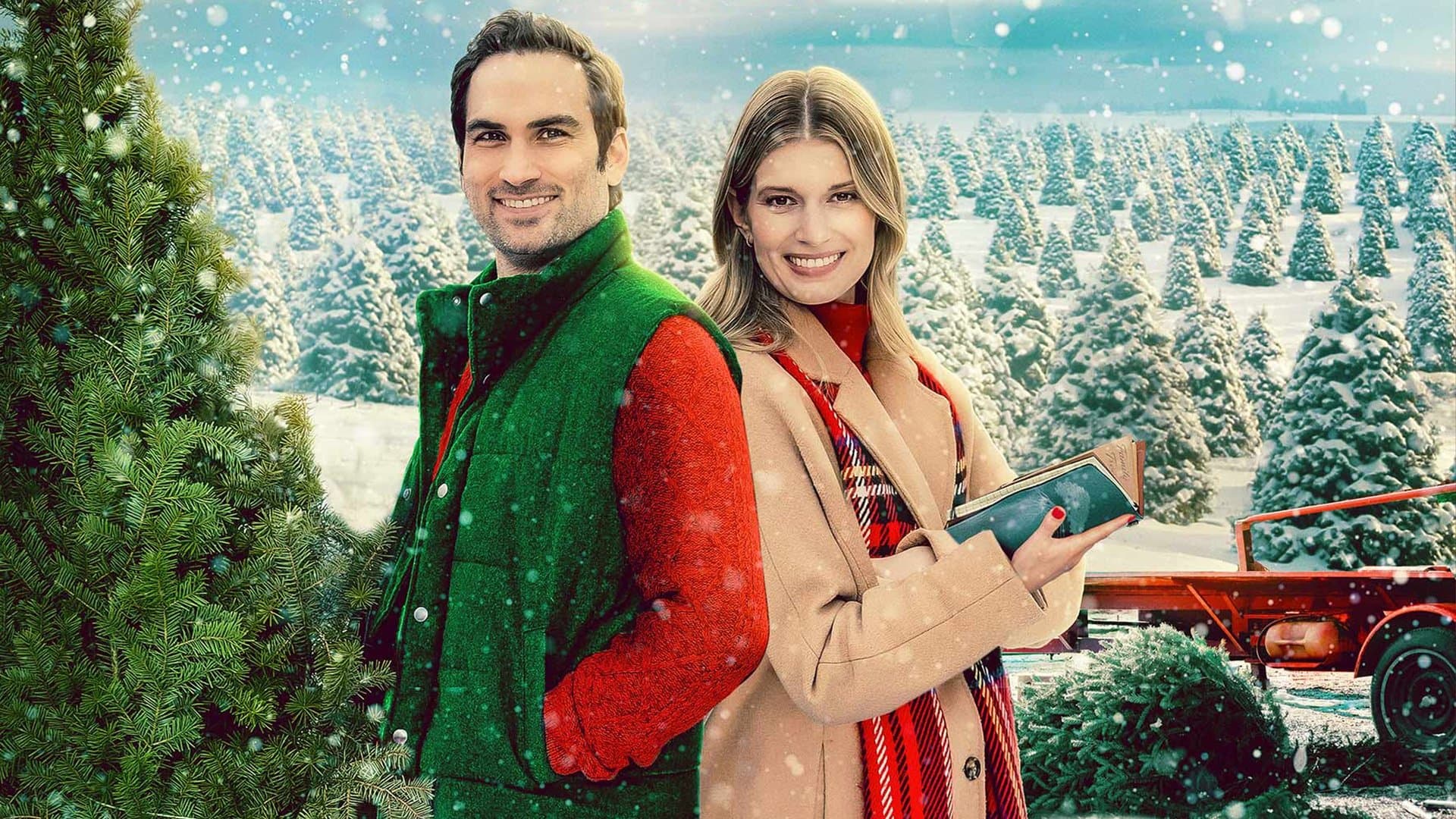 L'albero della mia famiglia - immagine