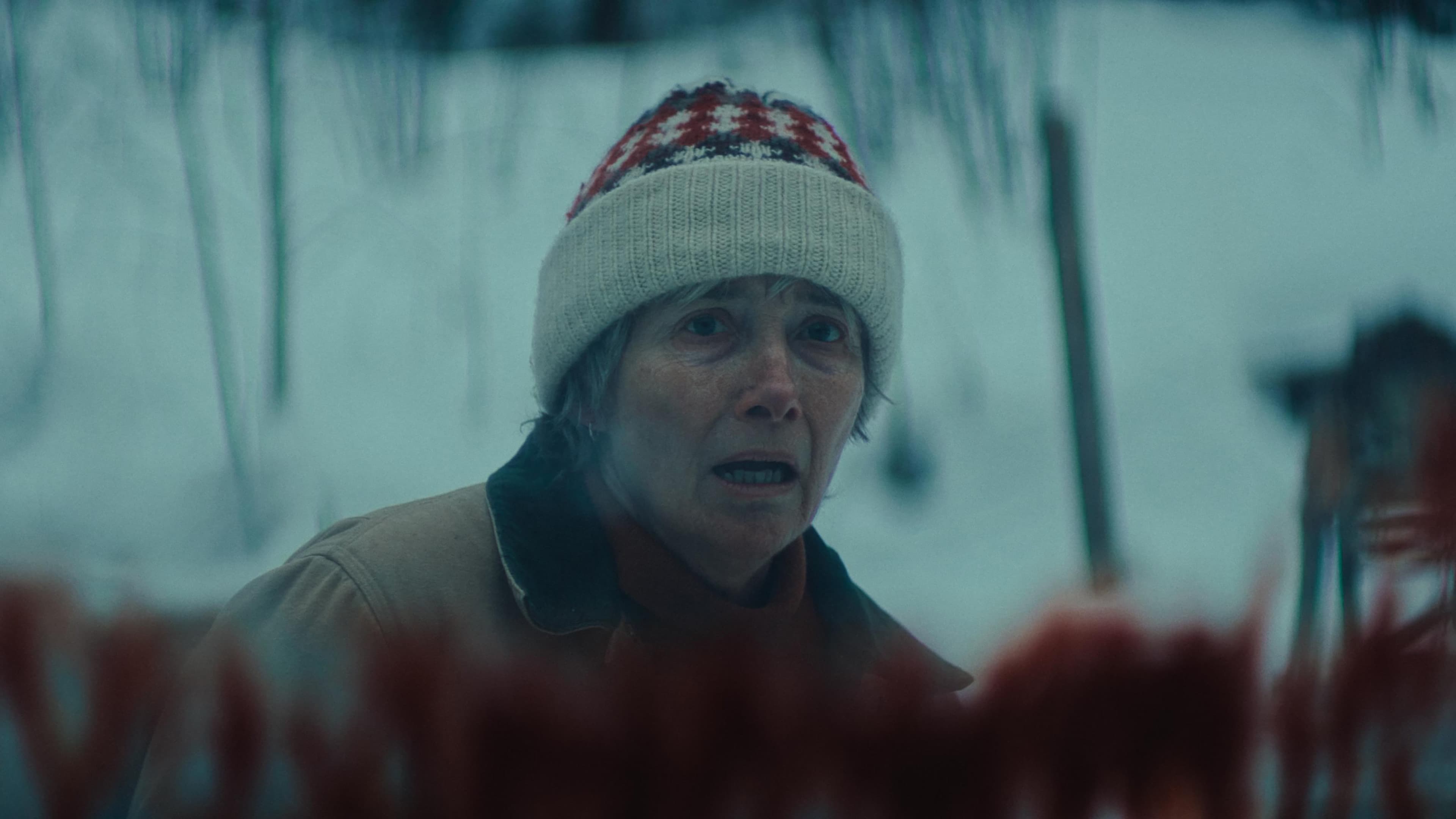 Dead of Winter: Sfida nel gelo - immagine