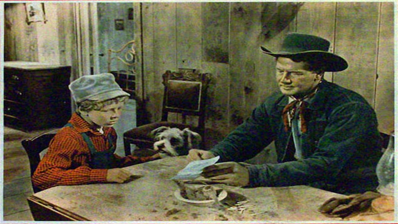 Il complice segreto - immagine