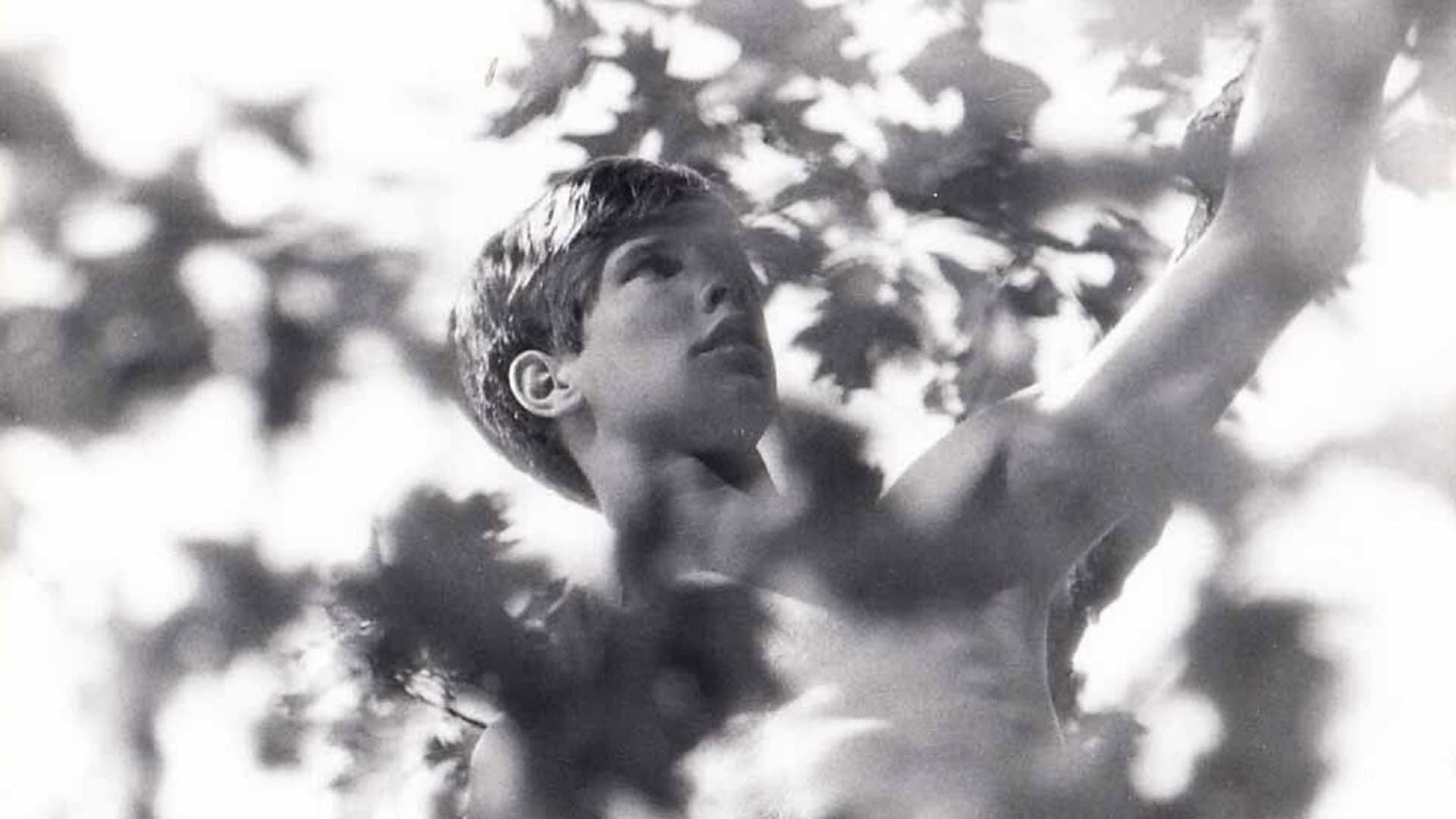 A Separate Peace - immagine