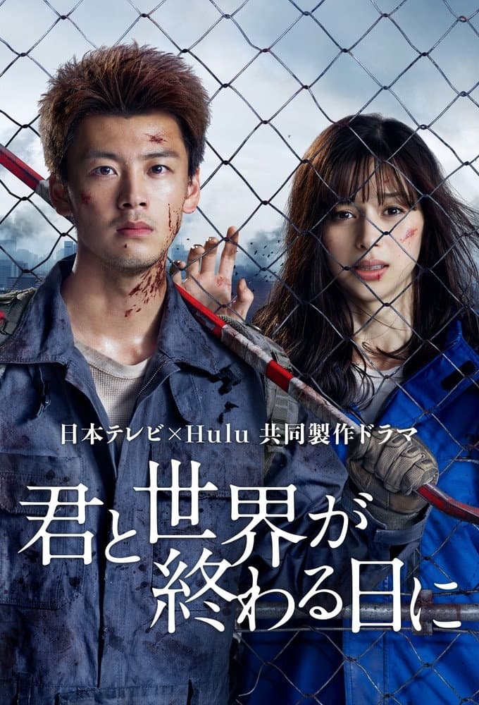 Poster di 君と世界が終わる日に