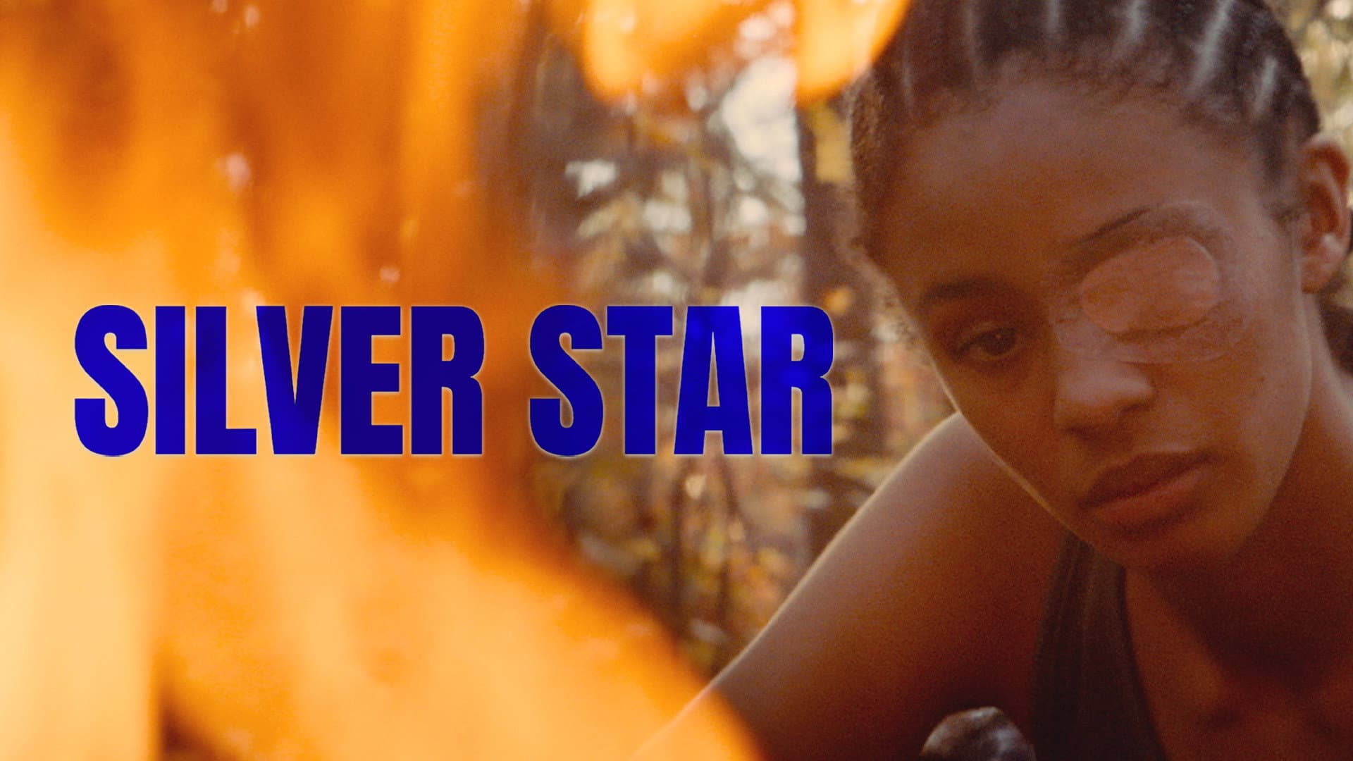 Silver Star - immagine