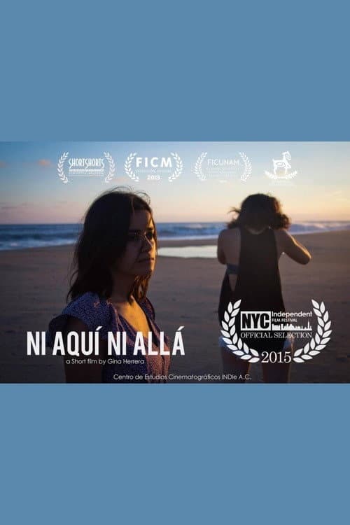 Poster di Ni aquí ni allá