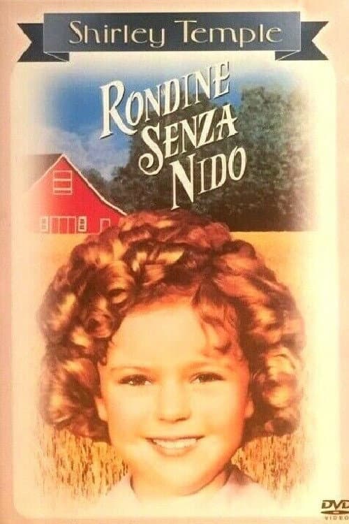 Poster di Rondine senza nido