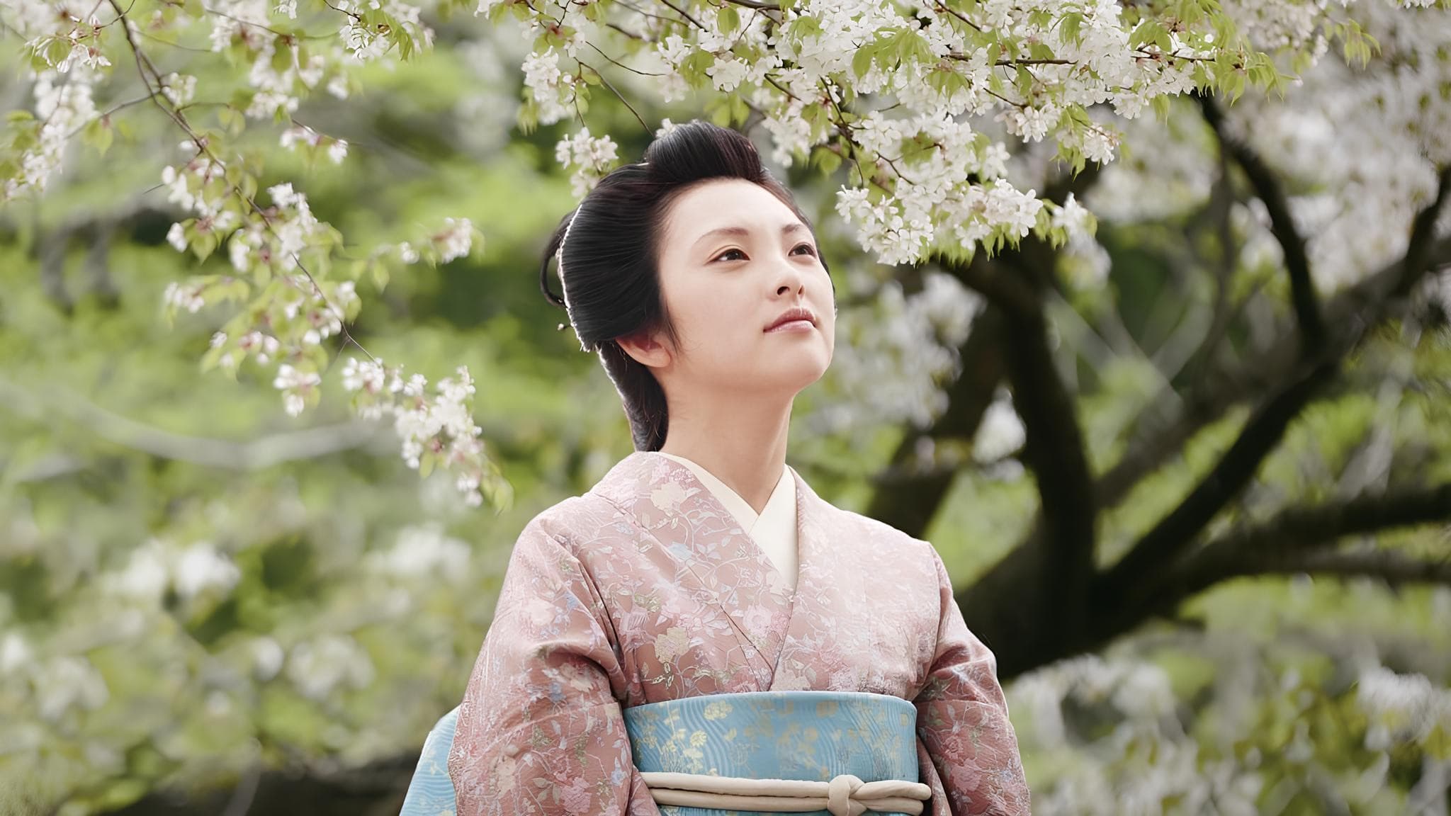 山桜 - immagine